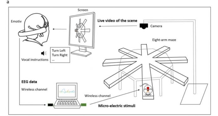 Screenshot_4