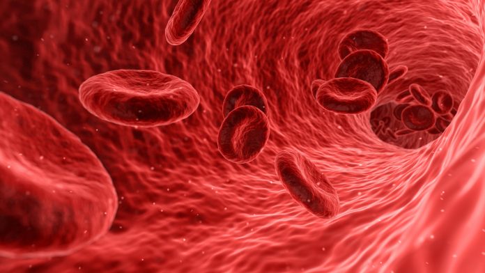 blood-stream-(16by9)