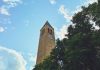 Cornell, New York’un kendine özgü şerbetçiotunu tarladan bardağa taşıyor